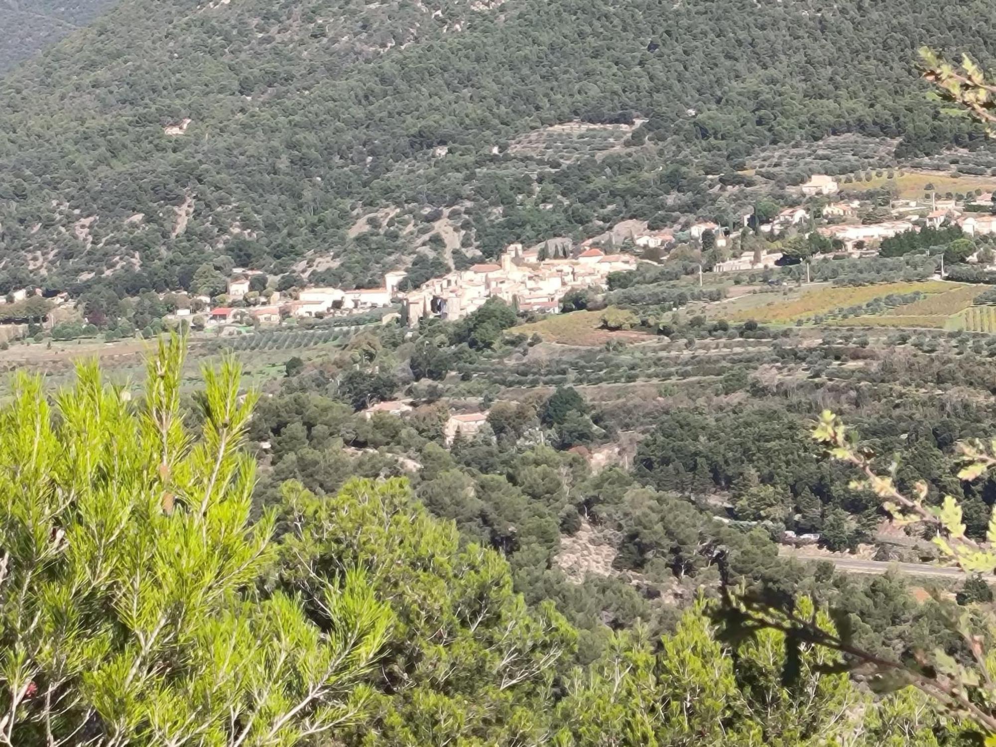 A L'Oree Des Oliviers Venterol  Extérieur photo